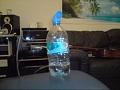 Killer Volvic mineral water bottle