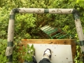 Bird Hunting Tree Hideout, Priors Marston