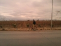 Bodega Trapiche, Coquimbito, Mendoza