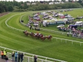 Chester Race Course, Matthew Clark day, Cheshire