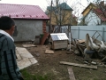 Bim the dog, Drohobych, Ukraine