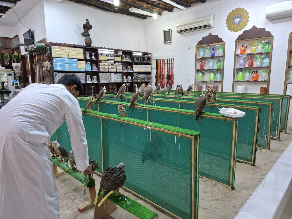 Bird shop in Falcon Souq, Doha, Qatar