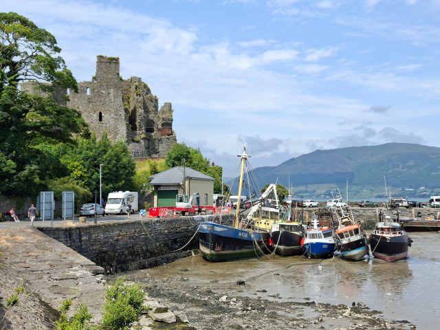 Boats at Carlingford harbour, County Louth, Ireland